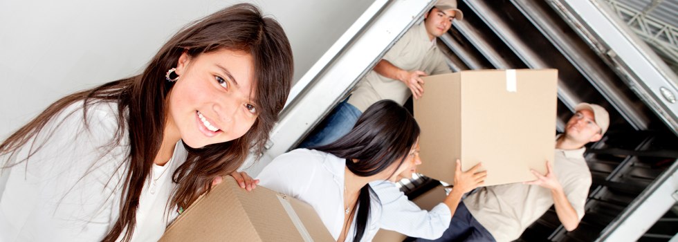 Professional Removalists Stirling VIC
